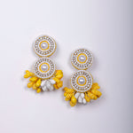 Load image into Gallery viewer, GULABO SET ( EARRINGS, TIKKA, PAIR OF HATHPHOOL )